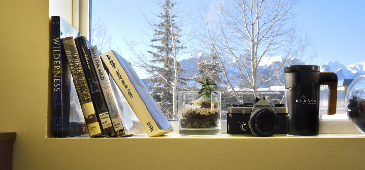 Books on a shelf in a sunny window with mountains in the background