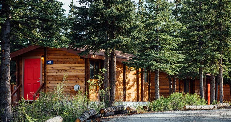 Wooden cabins nestled between conifer trees.
