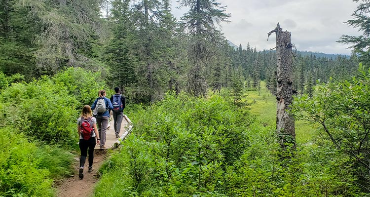A group of friends hiking on a trail in a lush green field.